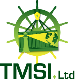 TMSI Ltd. logo